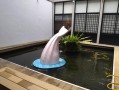 台大海豚尾巴