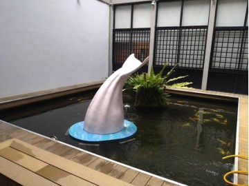 台大海豚尾巴